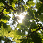 Miten tehdä itsemurha?