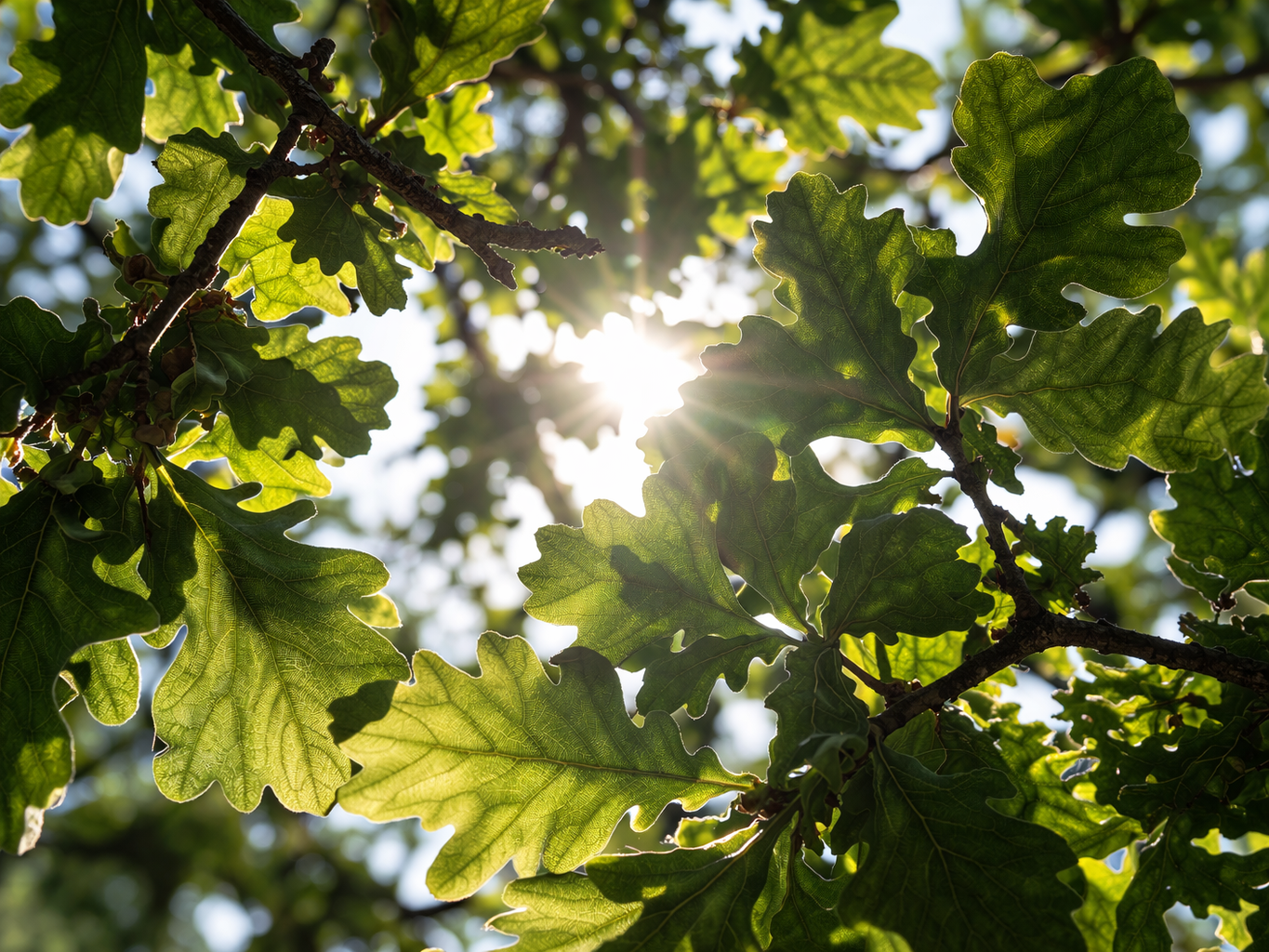 Miten tehdä itsemurha?